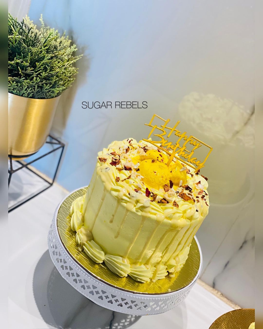 Rasmalai cake | Cake, Fresh cake, Doll birthday cake